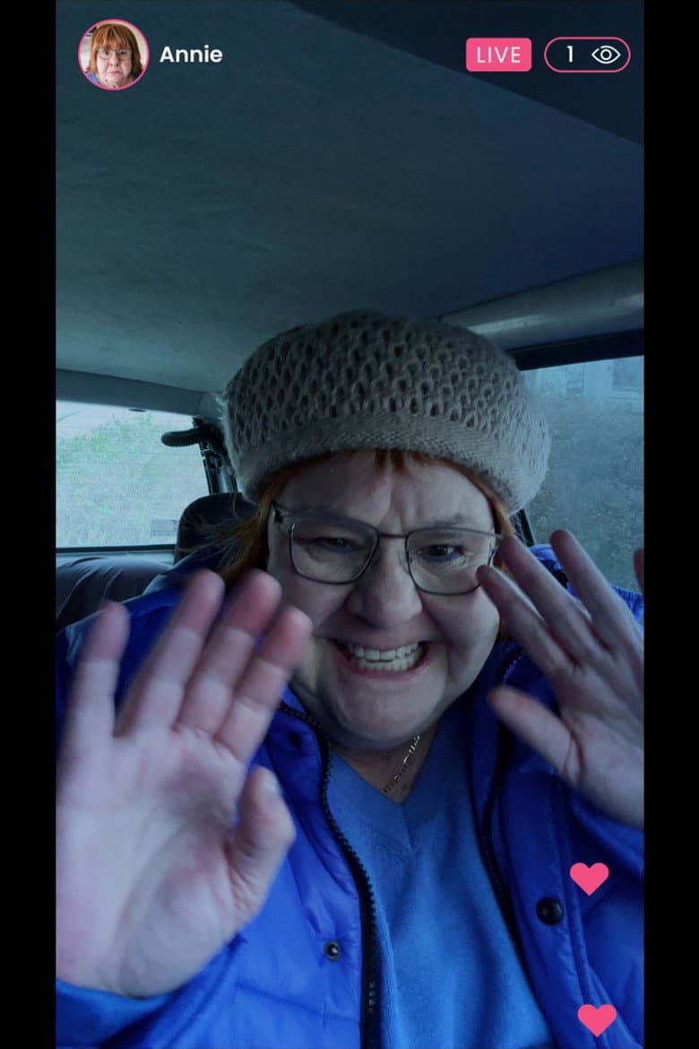 Blanquette de veau poster