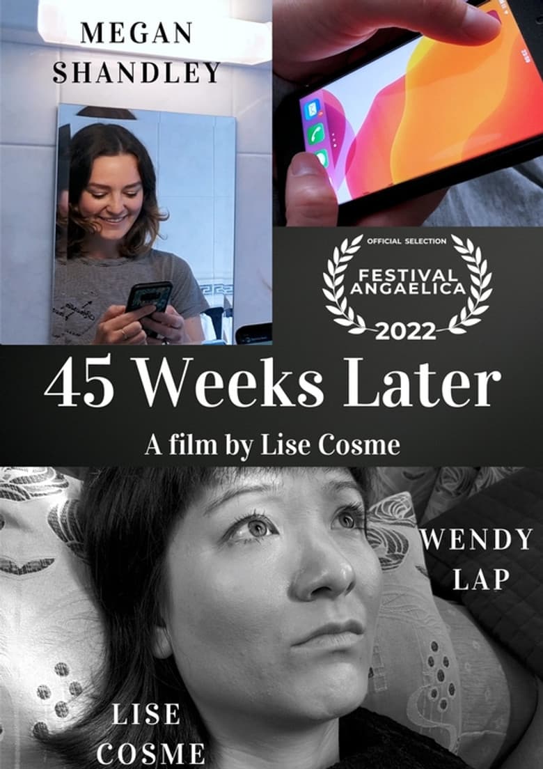 45 Weeks Later poster