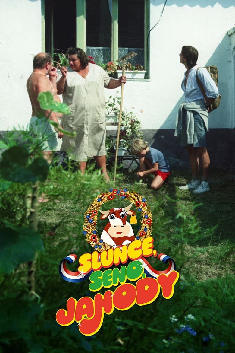 Sun, Hay, Strawberries poster