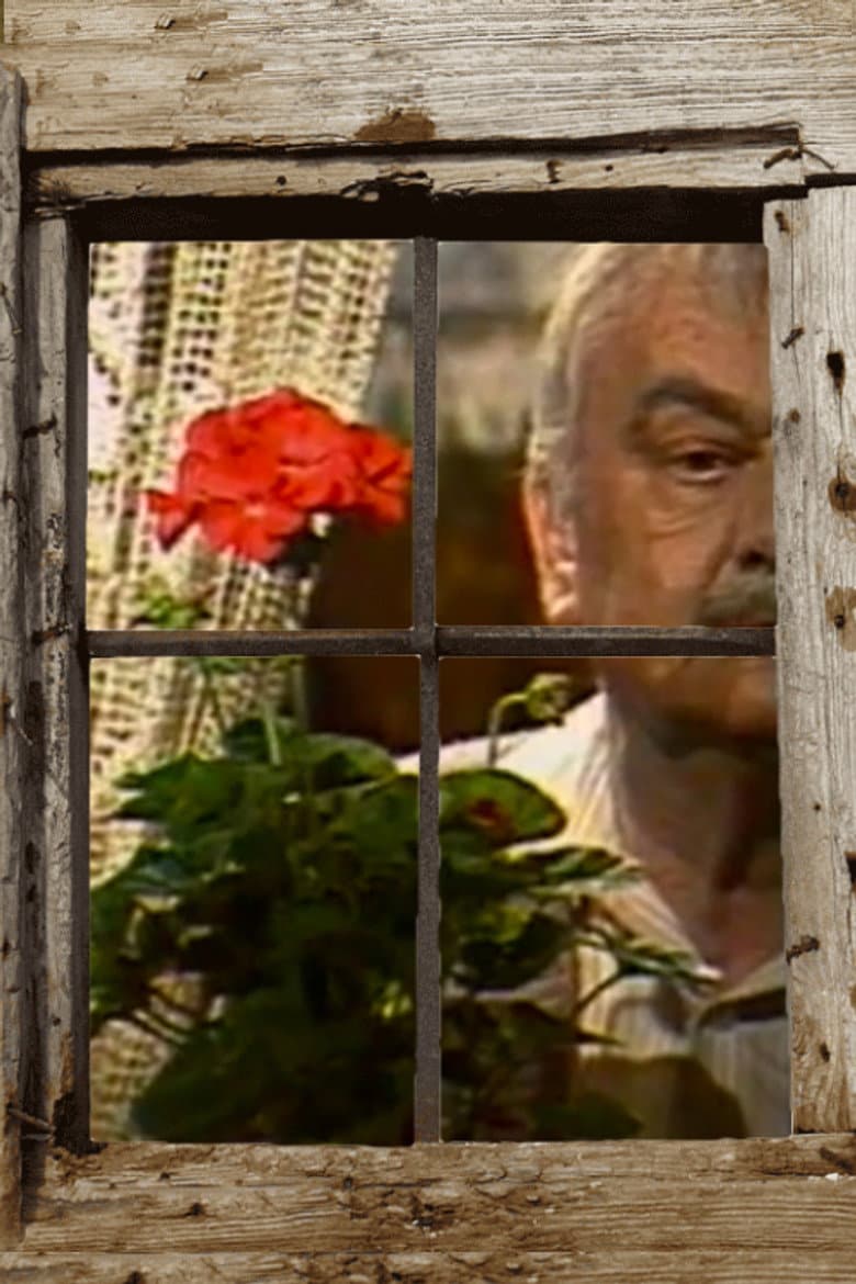 Be Like the Sun poster