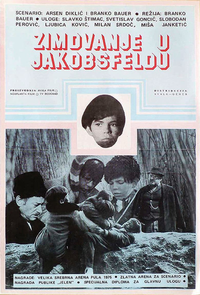 Wintering in Jakobsfeld poster