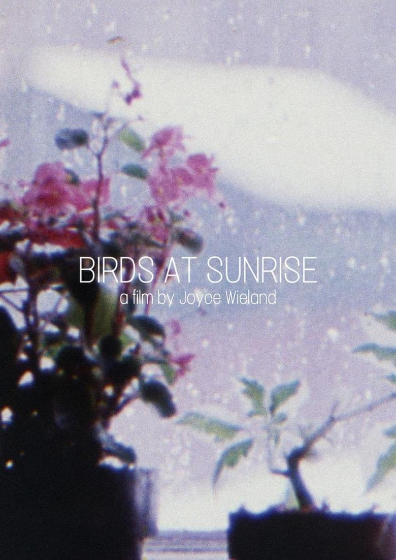 Birds at Sunrise poster