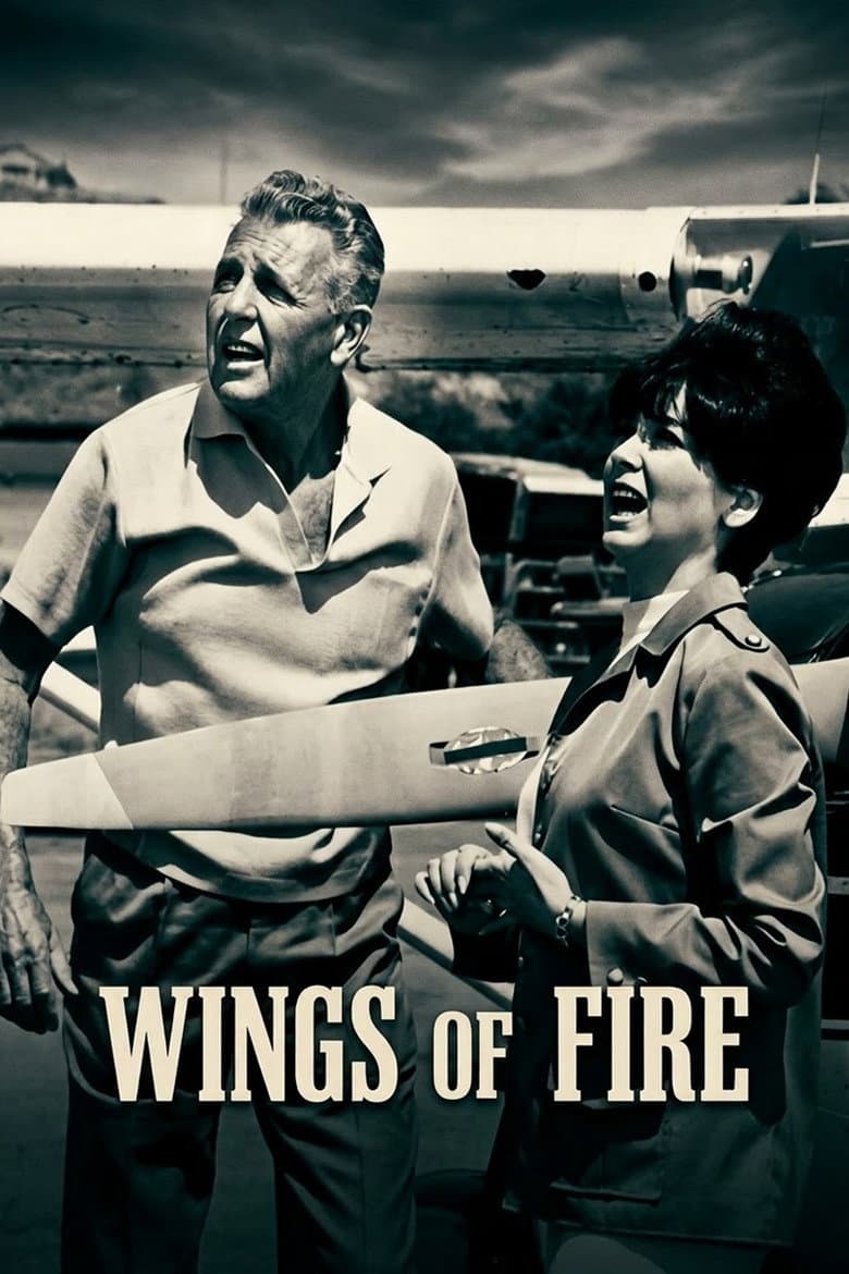 Wings of Fire poster
