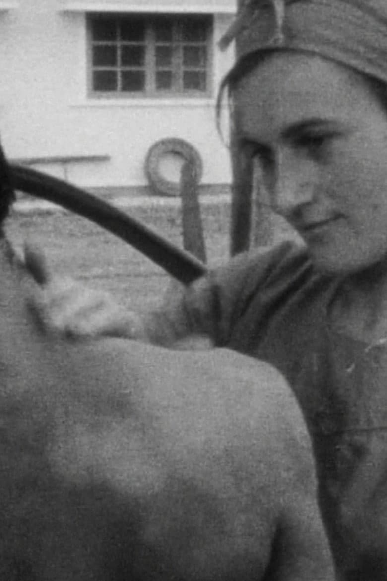 Nursing History poster