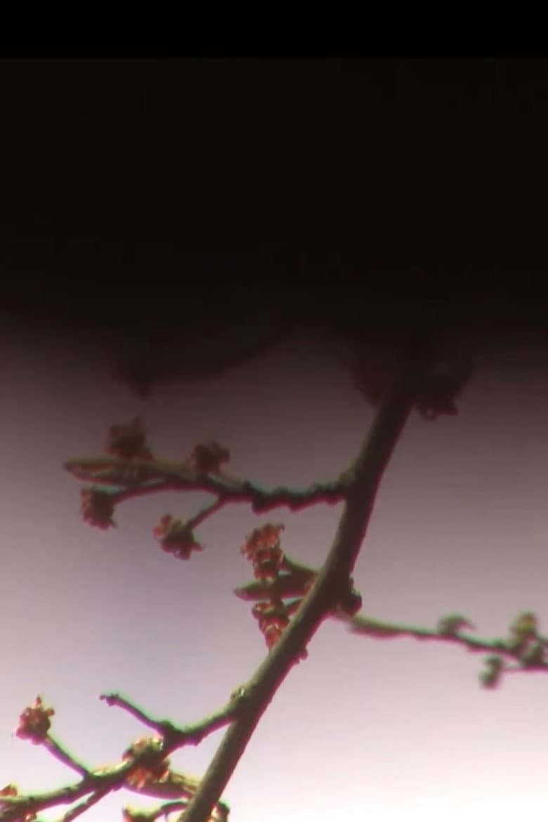 Nuestras Cartas poster