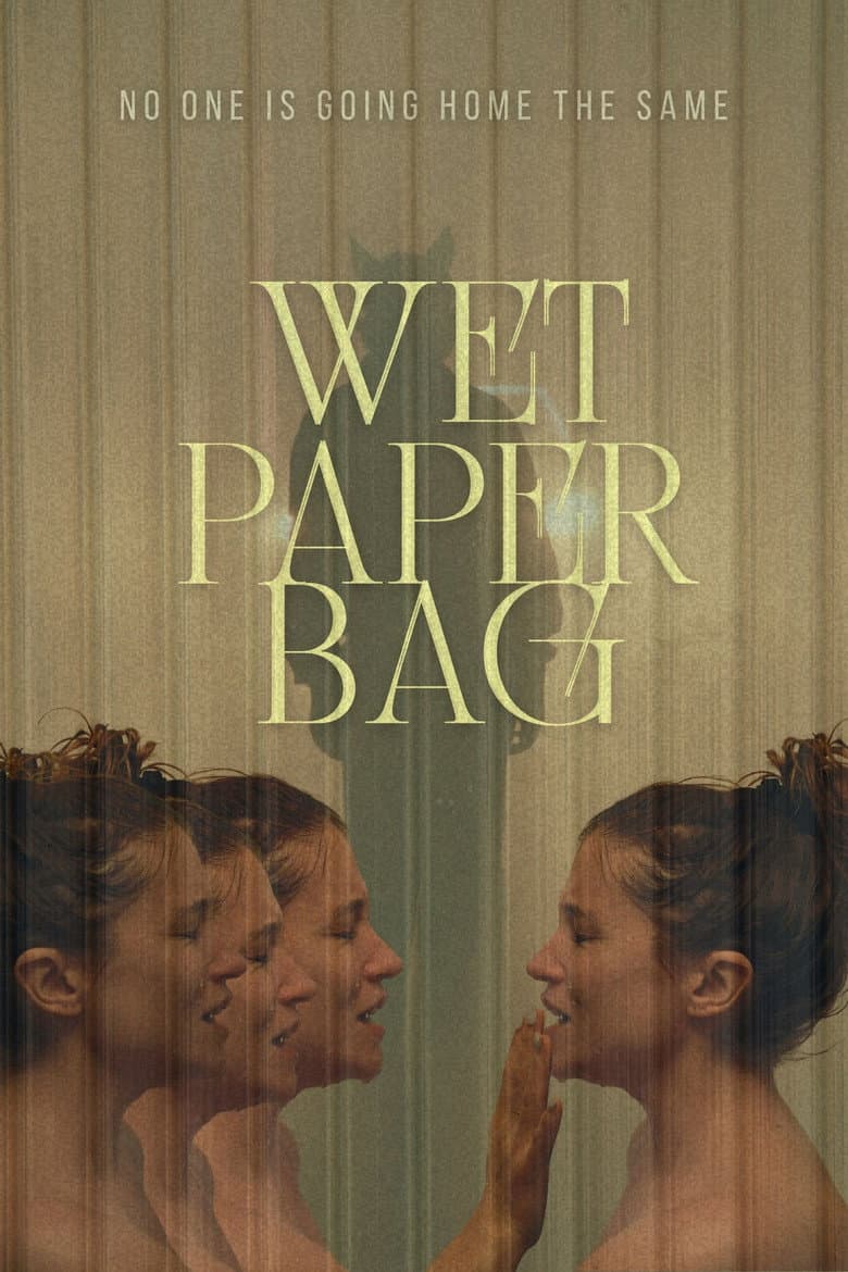 Wet Paper Bag poster