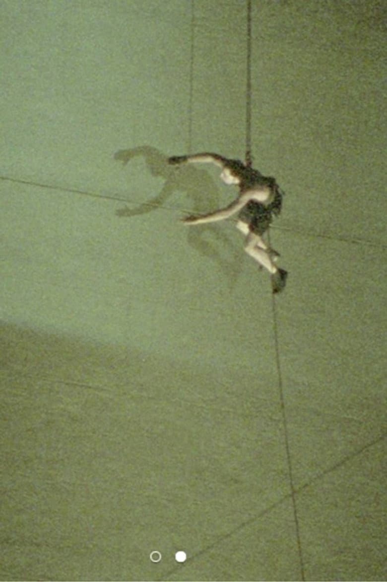 Pichón en el Obelisco poster