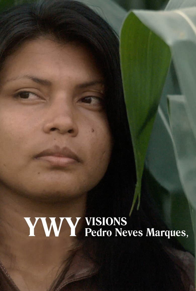 YWY, Visions poster