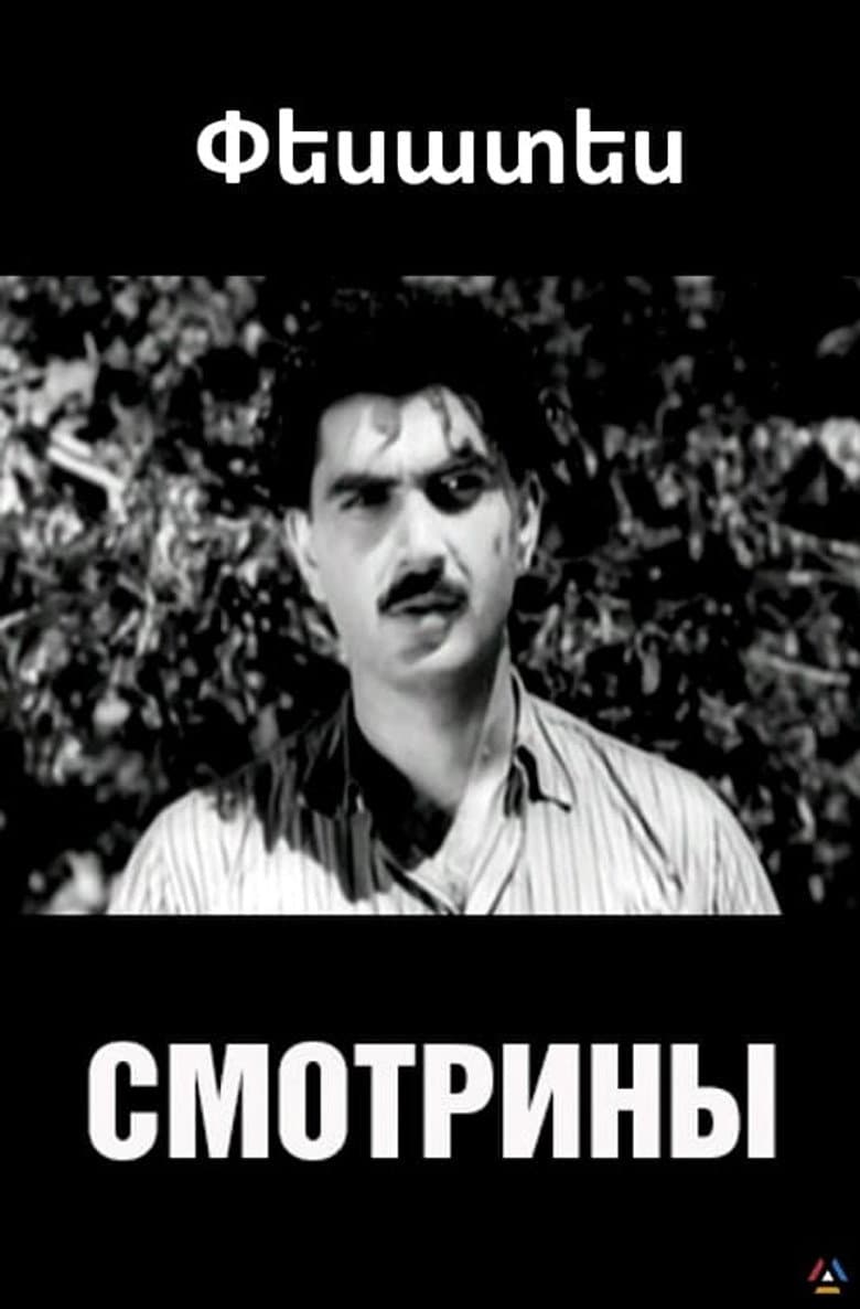 Visiting the Groom poster