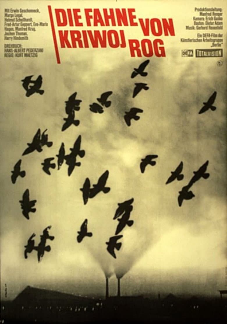 The Banner of Kryvyi Rih poster