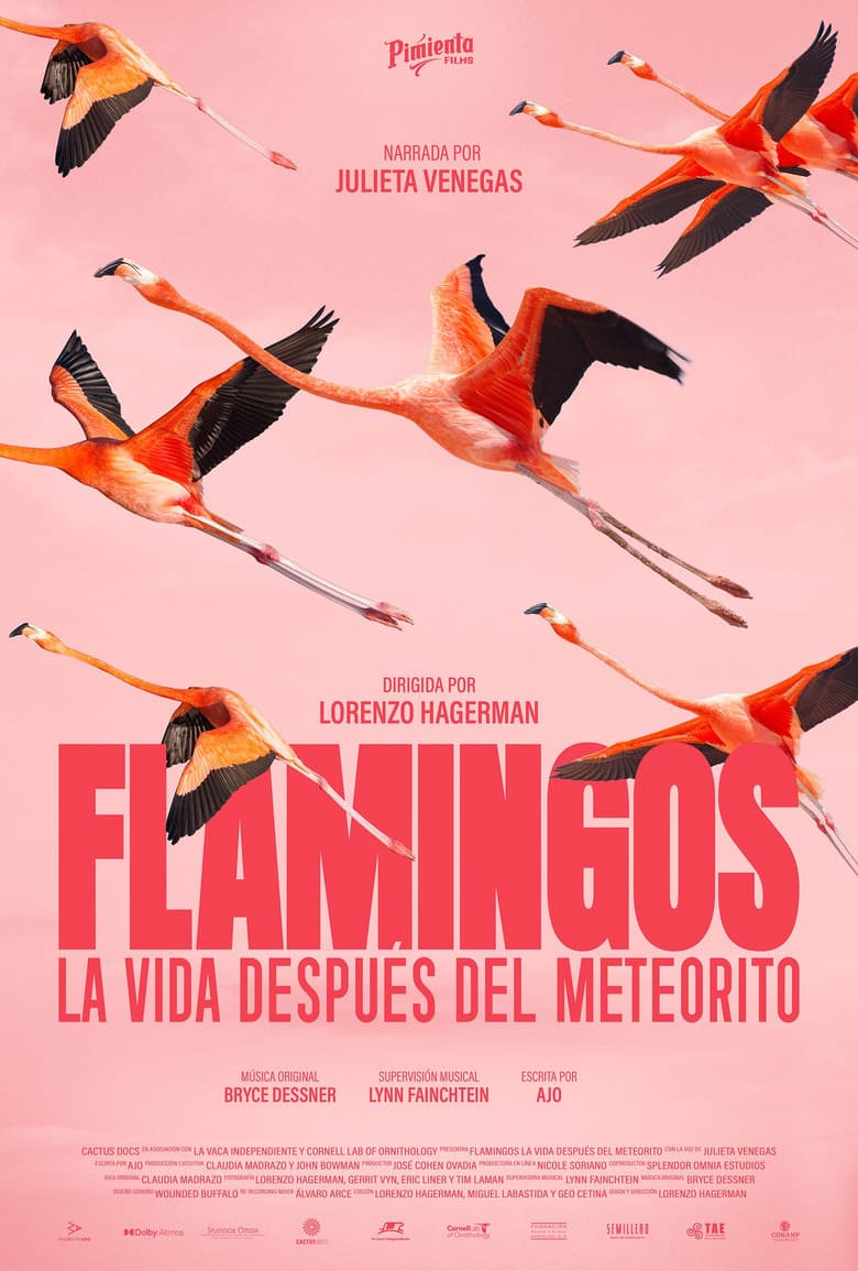 Flamingos: Life After the Meteorite poster