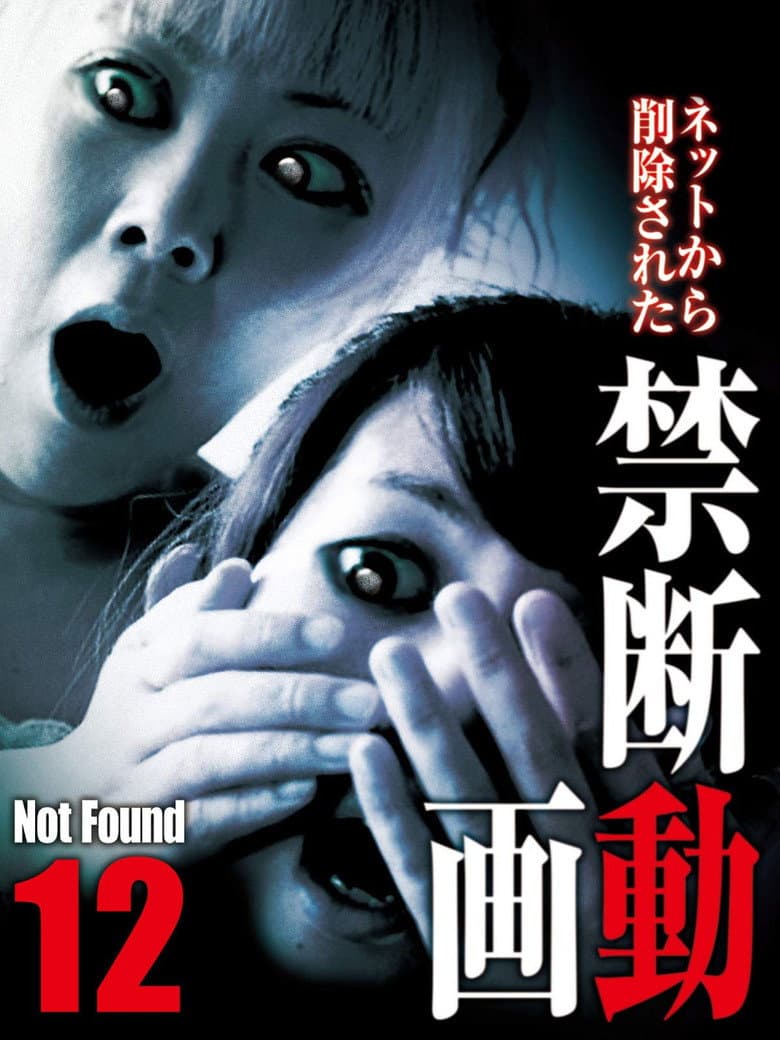Not Found 12 poster