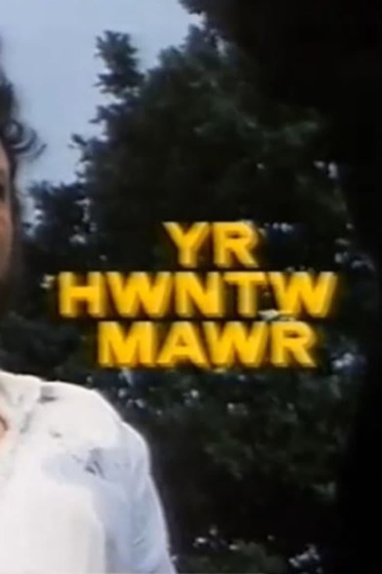 The Big Southerner poster