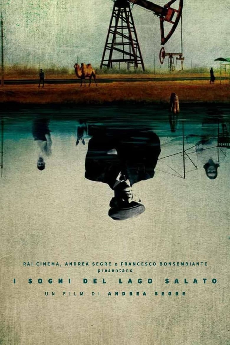 Dreams of the Salt Lake poster