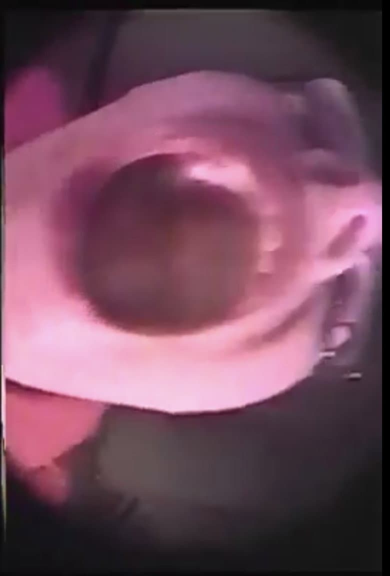 Tribute to Gloria Vanderbilt, Pt 2 poster