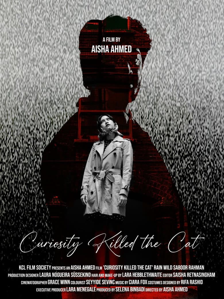 Curiosity Killed the Cat poster