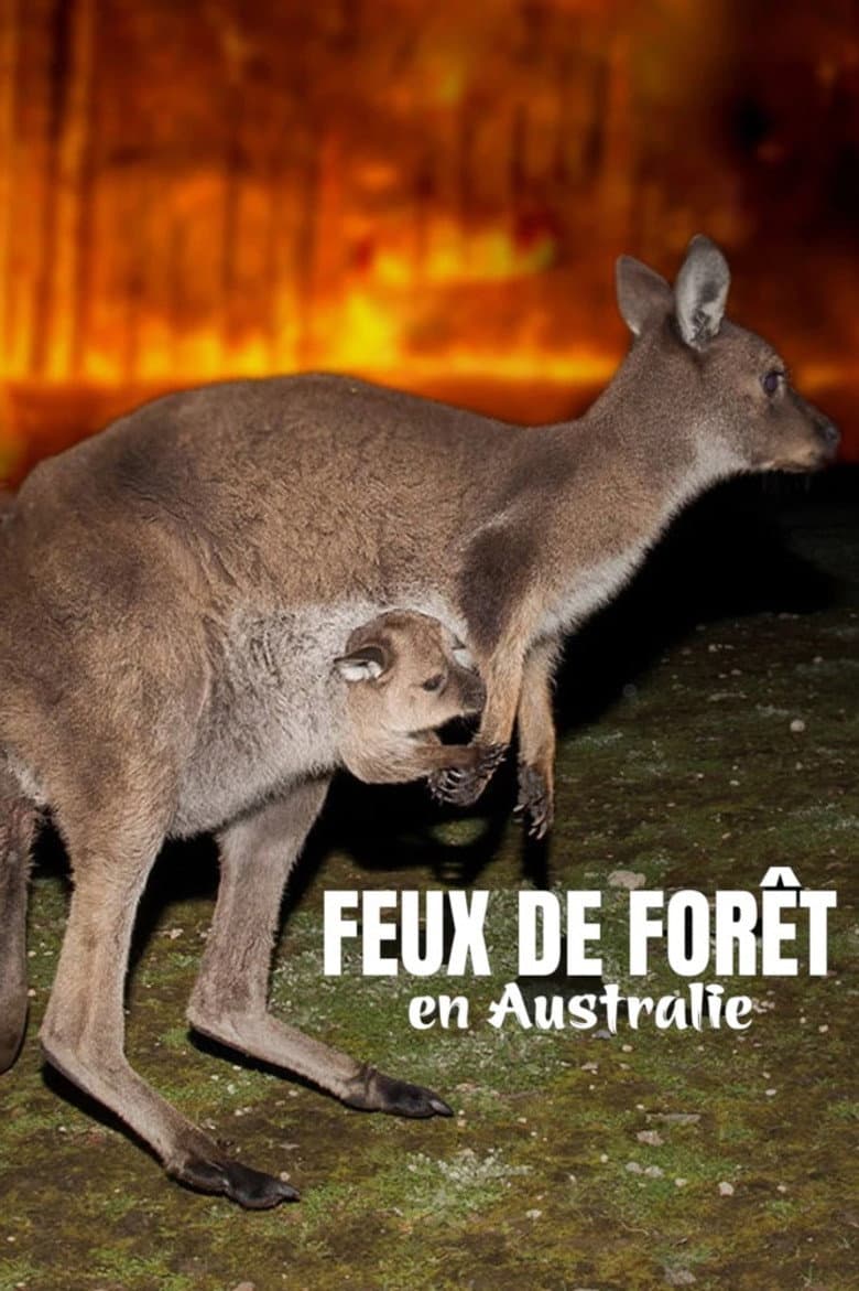 Bushfire Animal Rescue poster