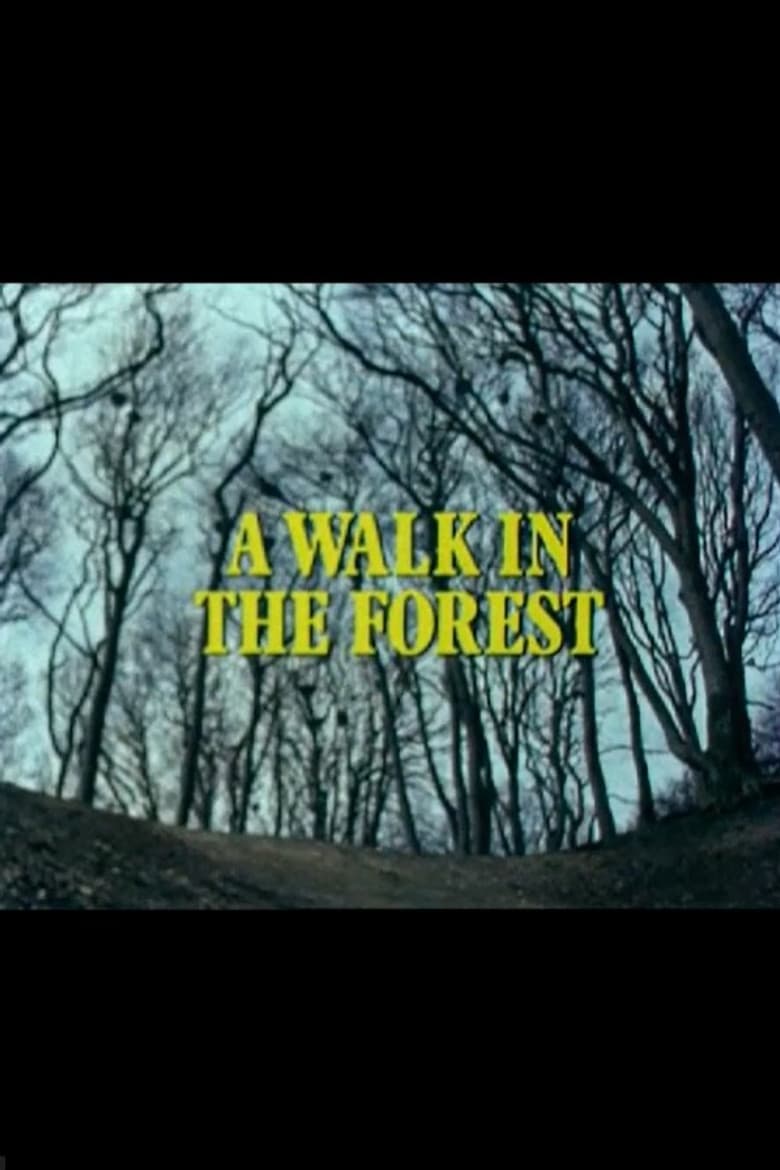 A Walk in the Forest poster