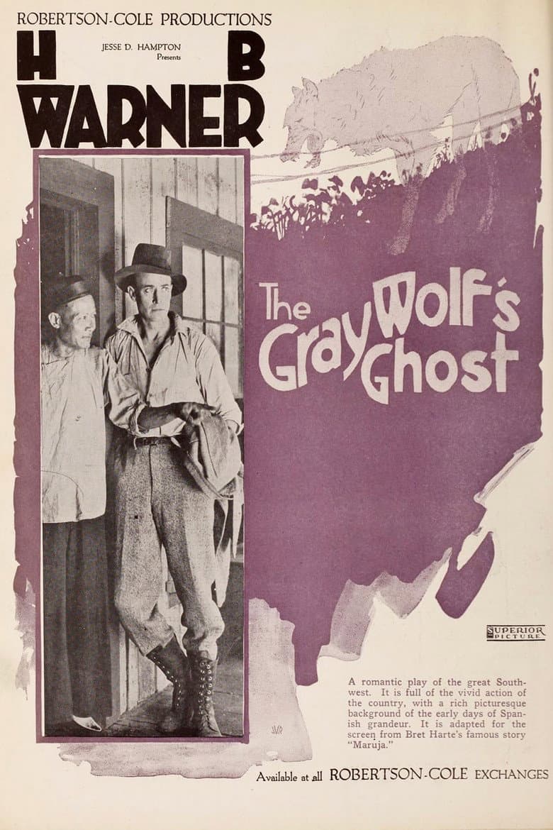 The Gray Wolf's Ghost poster