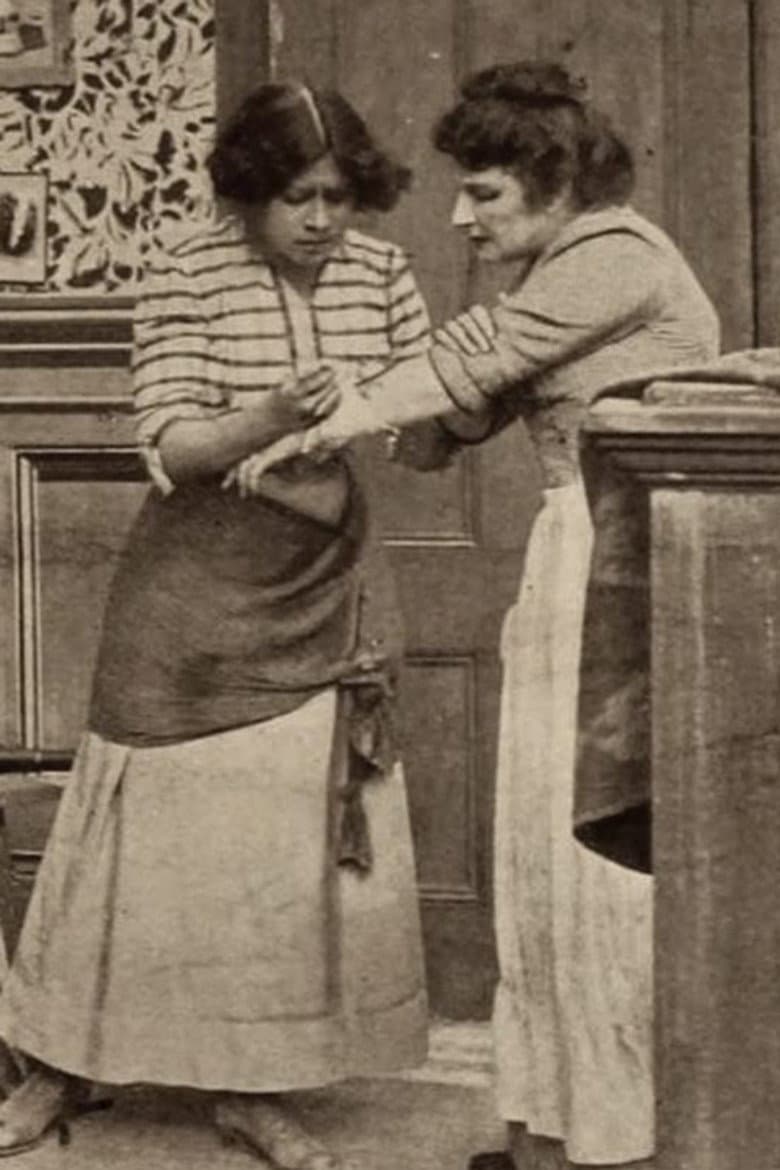 Honor of the Flag poster