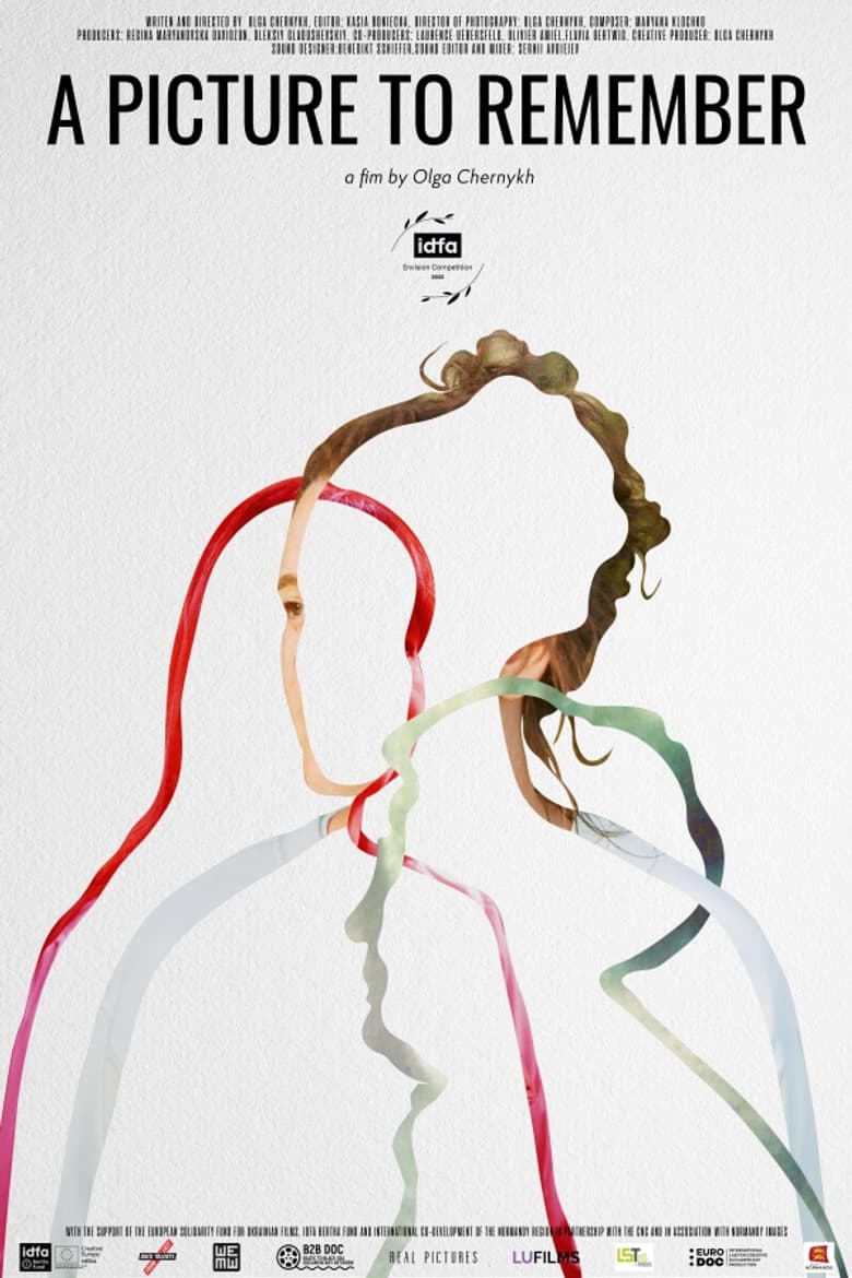 A Picture to Remember poster