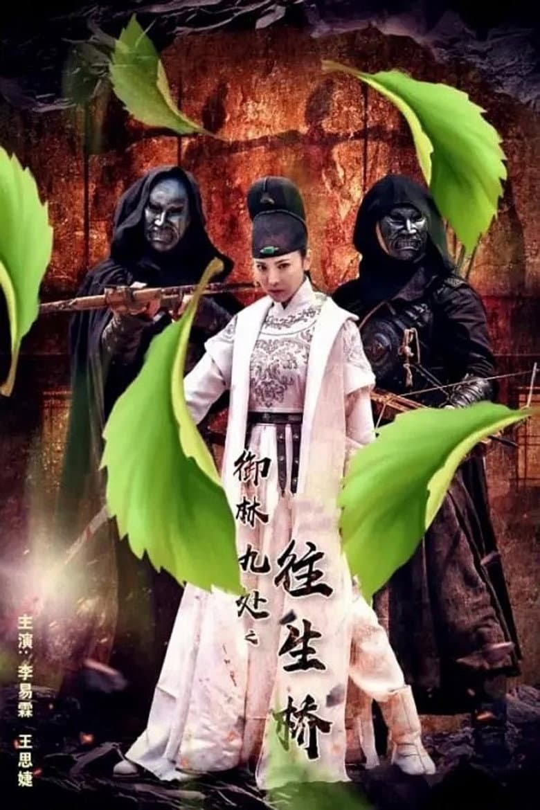 Royal Guards: Mysterious Bridge poster