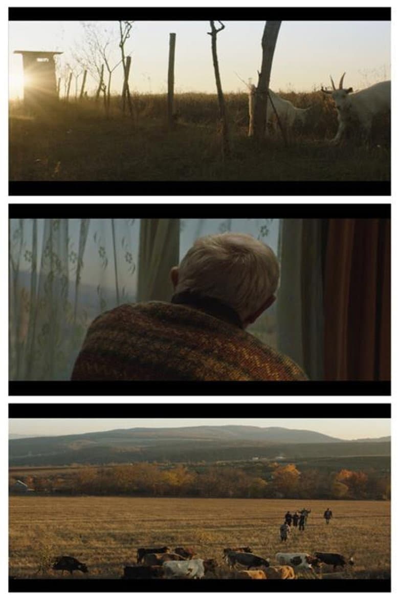 Don’t Leave Home! poster