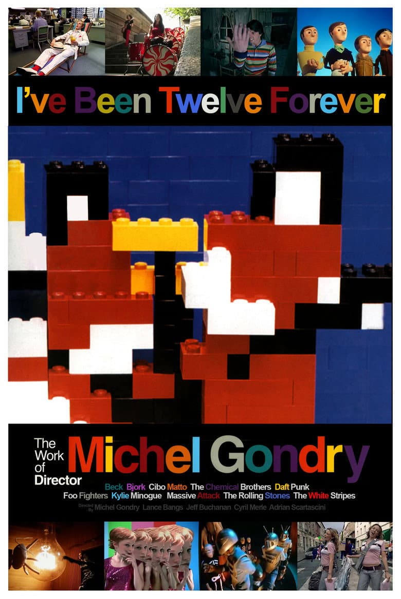 I've Been Twelve Forever: The Work of Director Michel Gondry poster