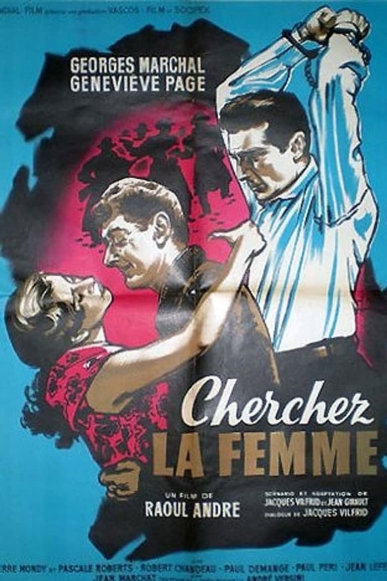 Cherchez la femme poster