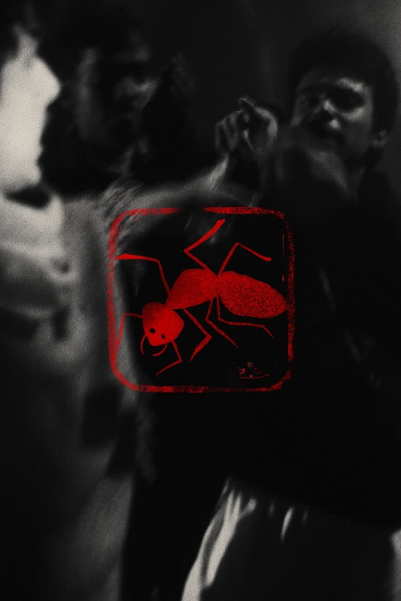 Bish Pipra poster