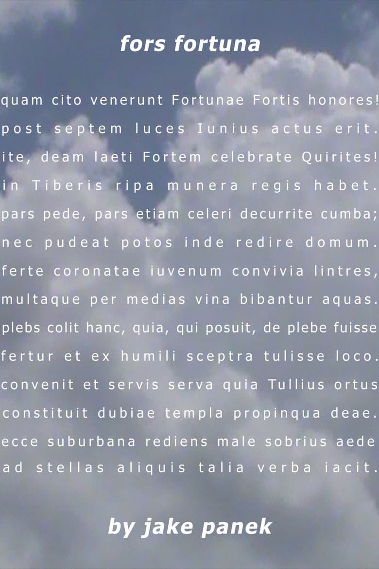 fors fortuna poster