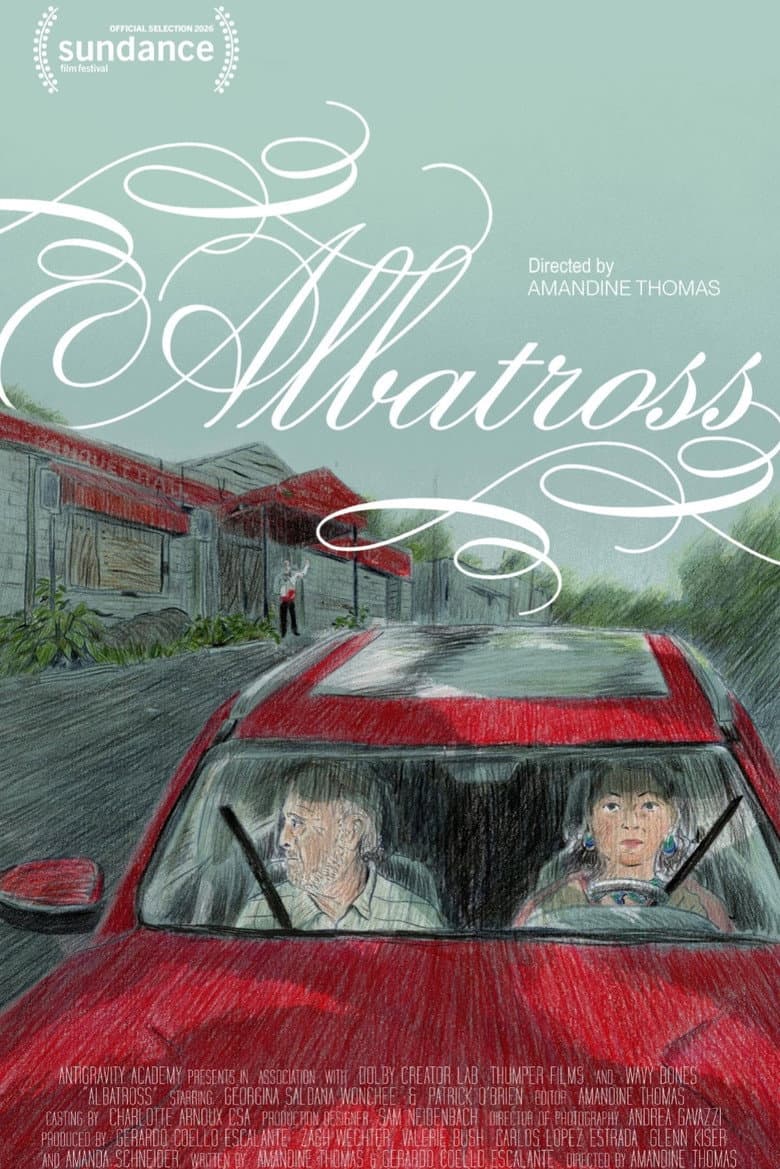 Albatross poster