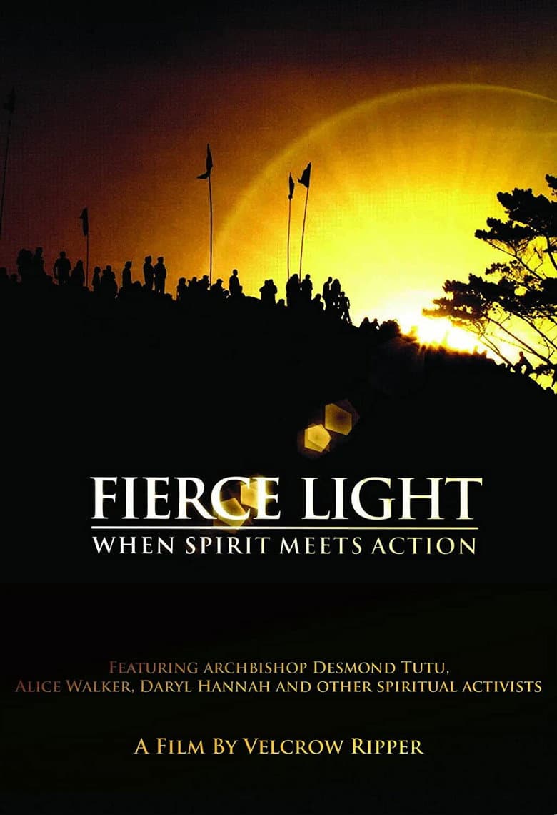 Fierce Light: When Spirit Meets Action poster