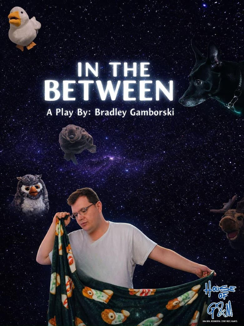 In the Between: Live poster