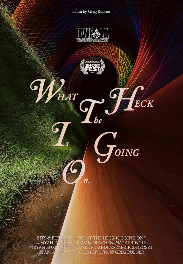 What the Heck Is Going On. poster