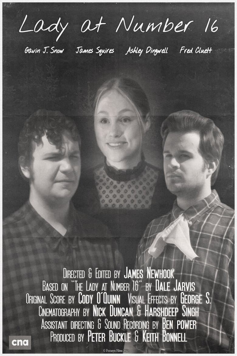 Lady at Number 16 poster
