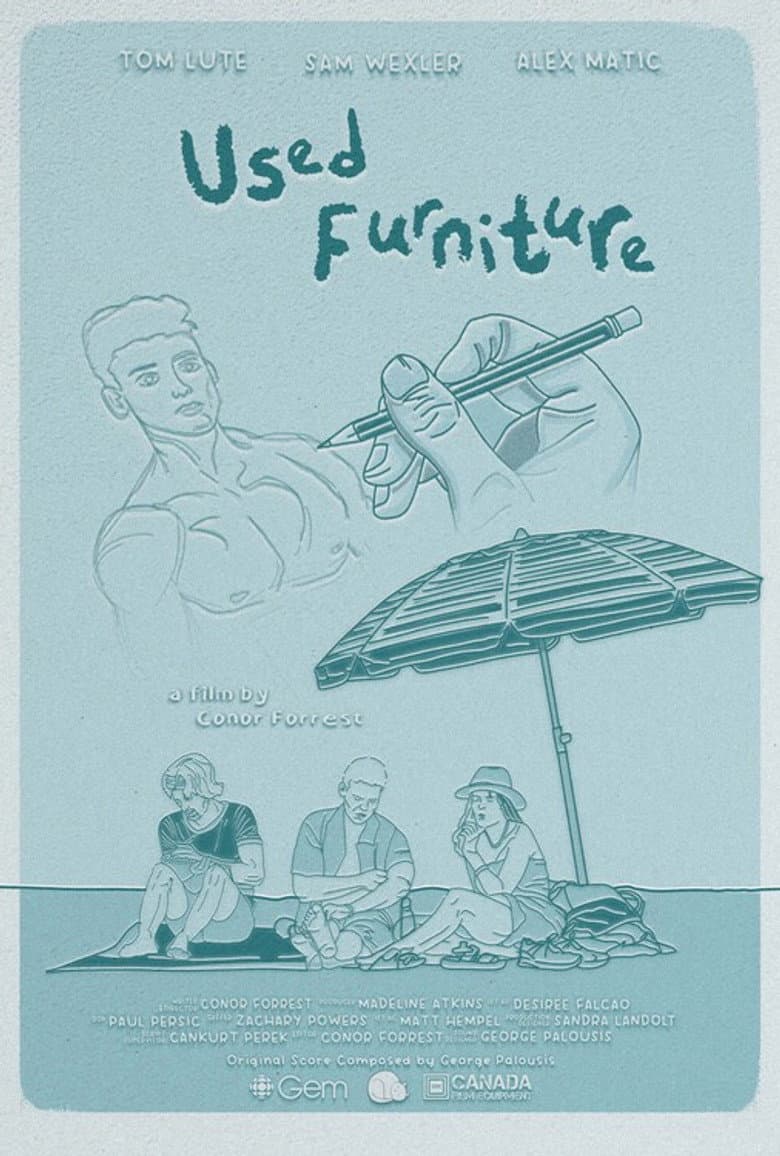 Used Furniture poster