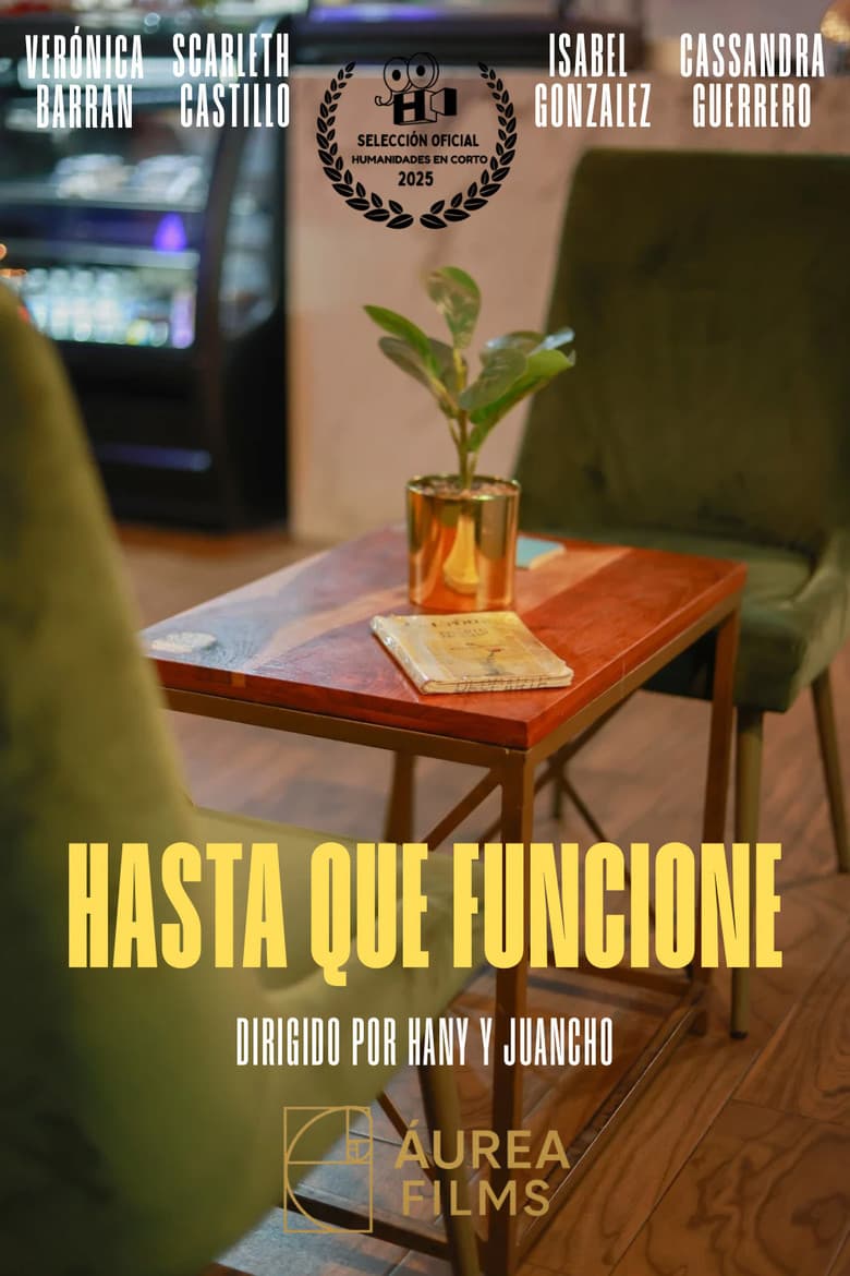 Hasta Que Funcione poster