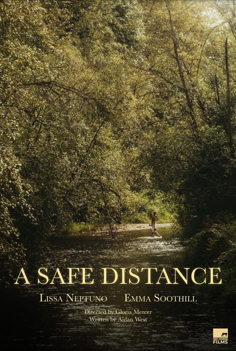 A Safe Distance poster