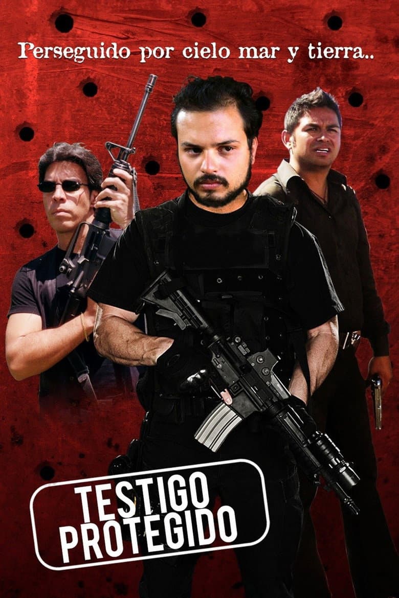 Testigo protegido poster