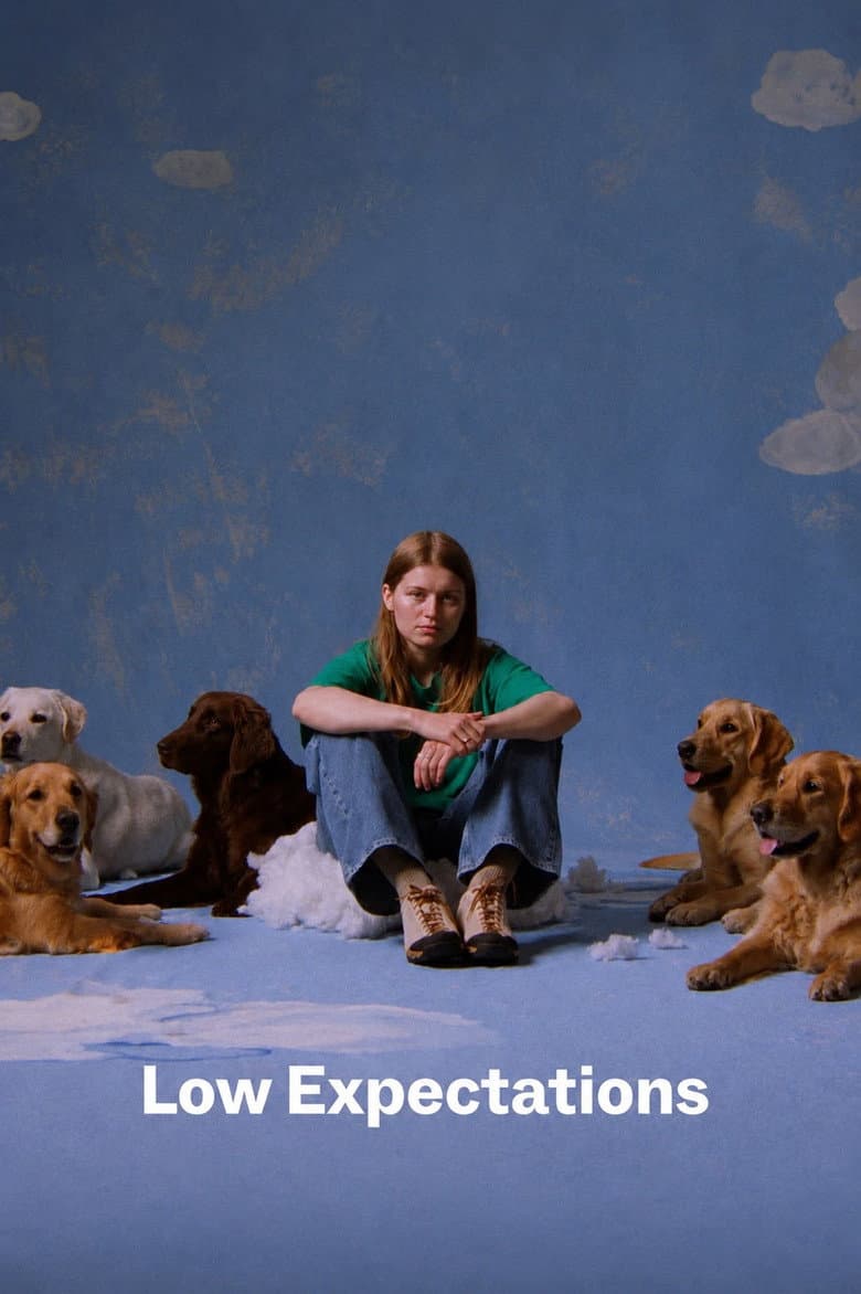 Low Expectations poster