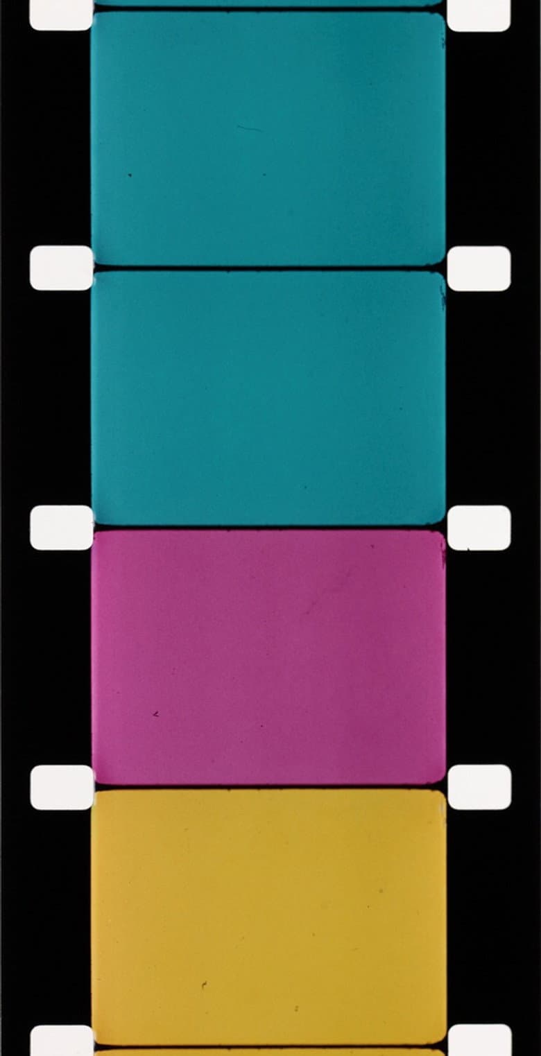 Analytical Studies I: The Film Frame poster