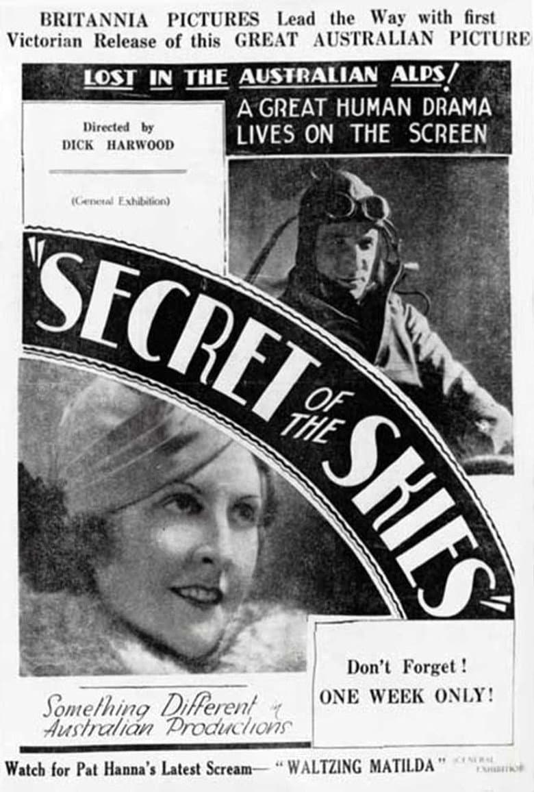 Secret of the Skies poster