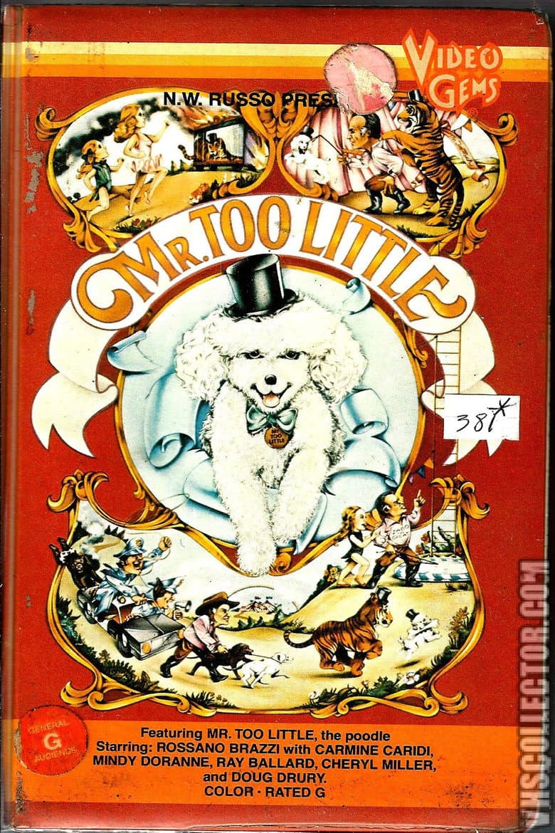 Mr. Too Little poster