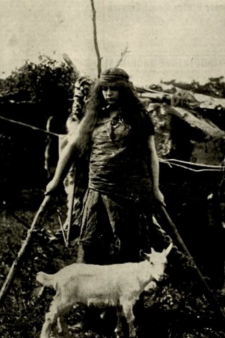 The Wife of Cain poster