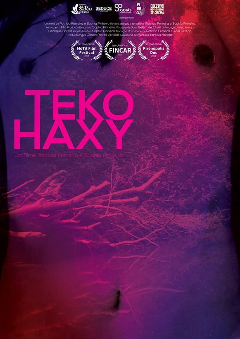 Teko Haxy - ser imperfeita poster