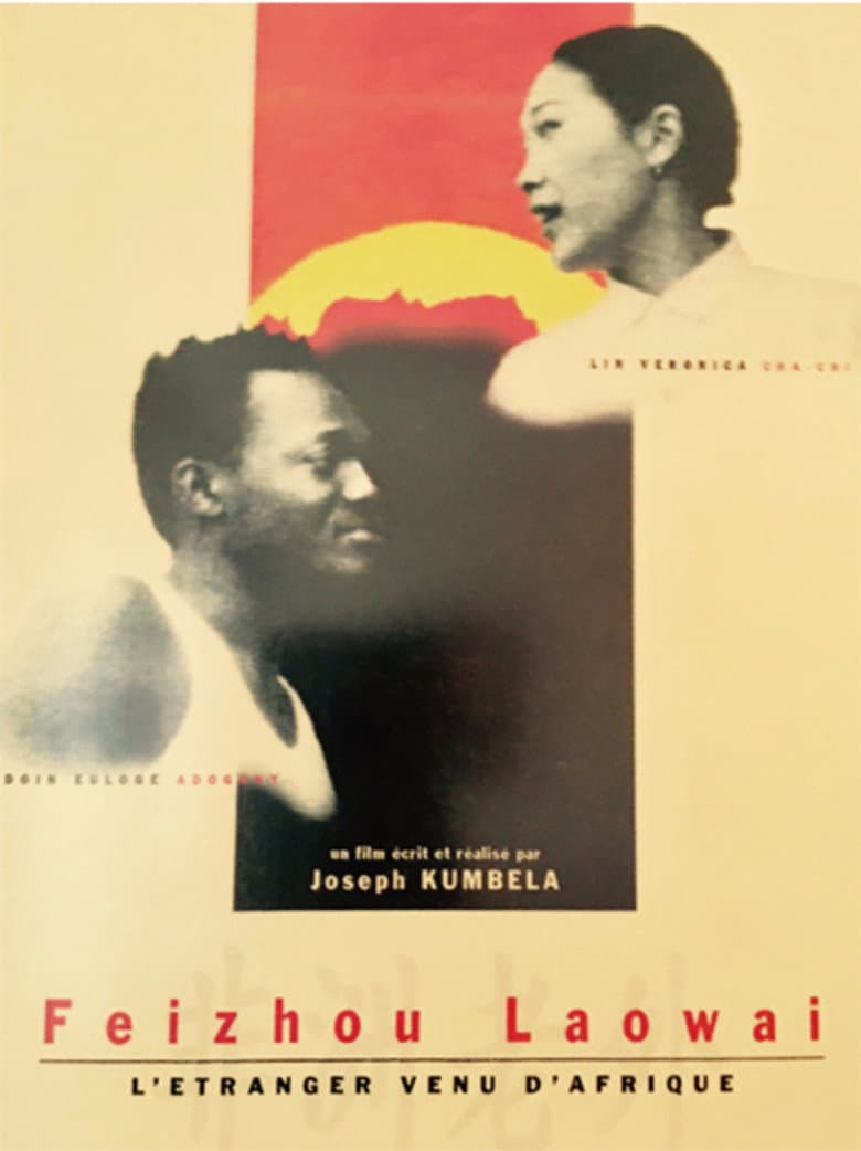 L'étranger venu d'Afrique poster