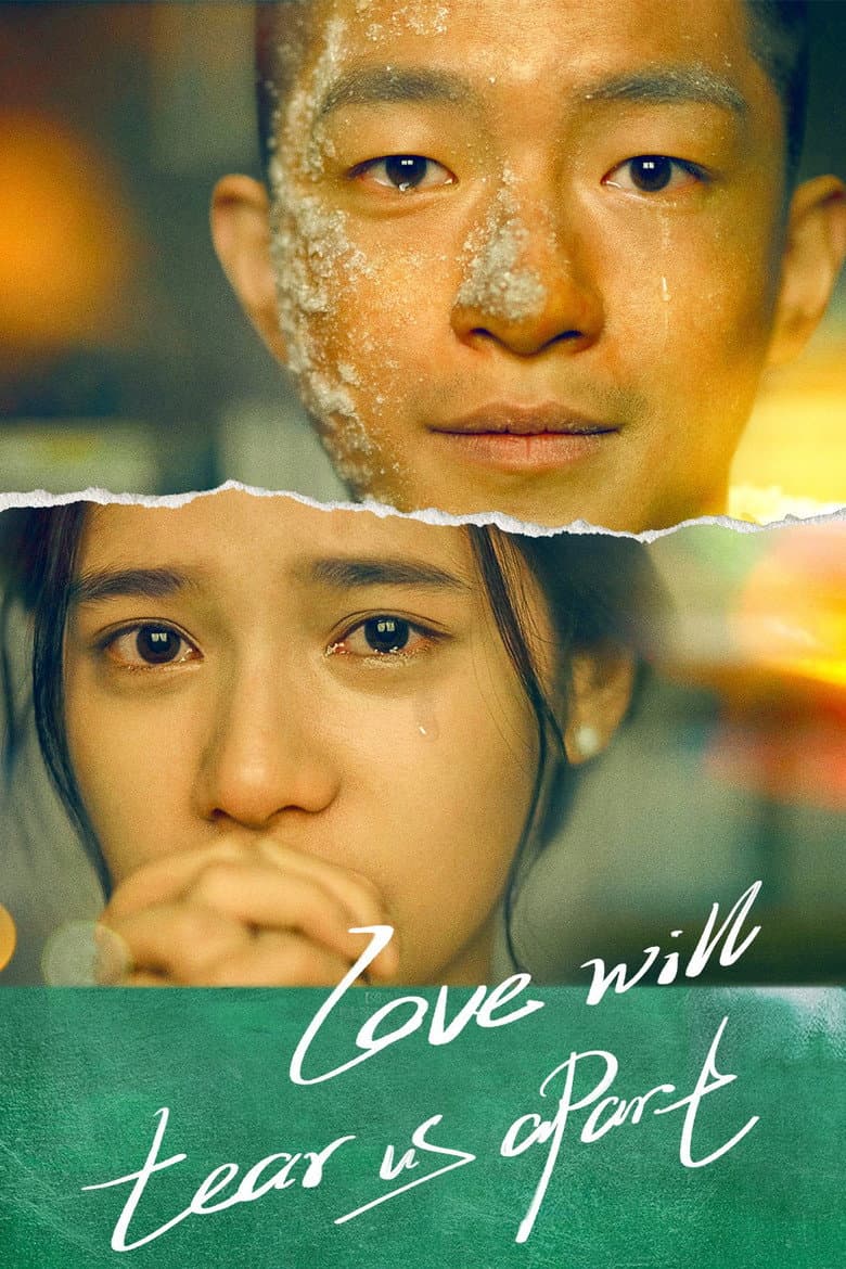 Love Will Tear Us Apart poster