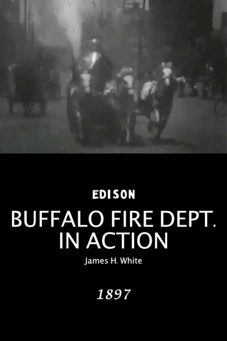 Buffalo Fire Department in Action poster
