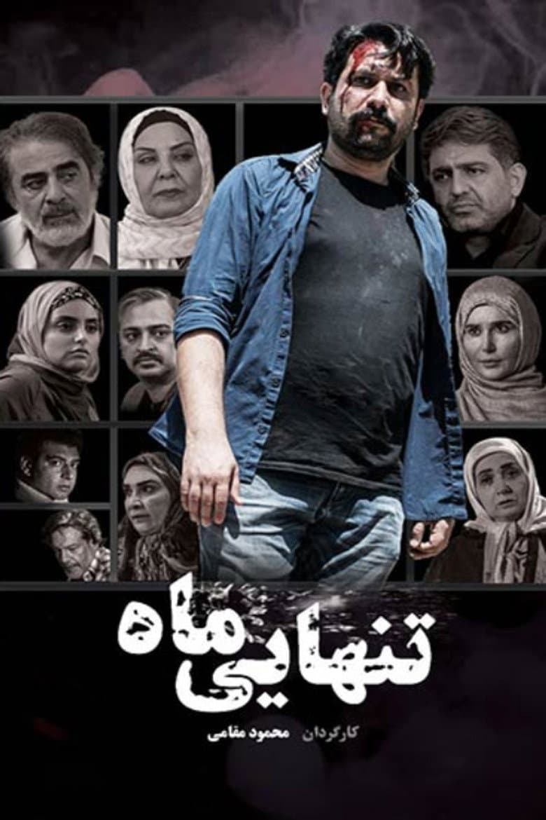 The Loneliness of the Moon poster